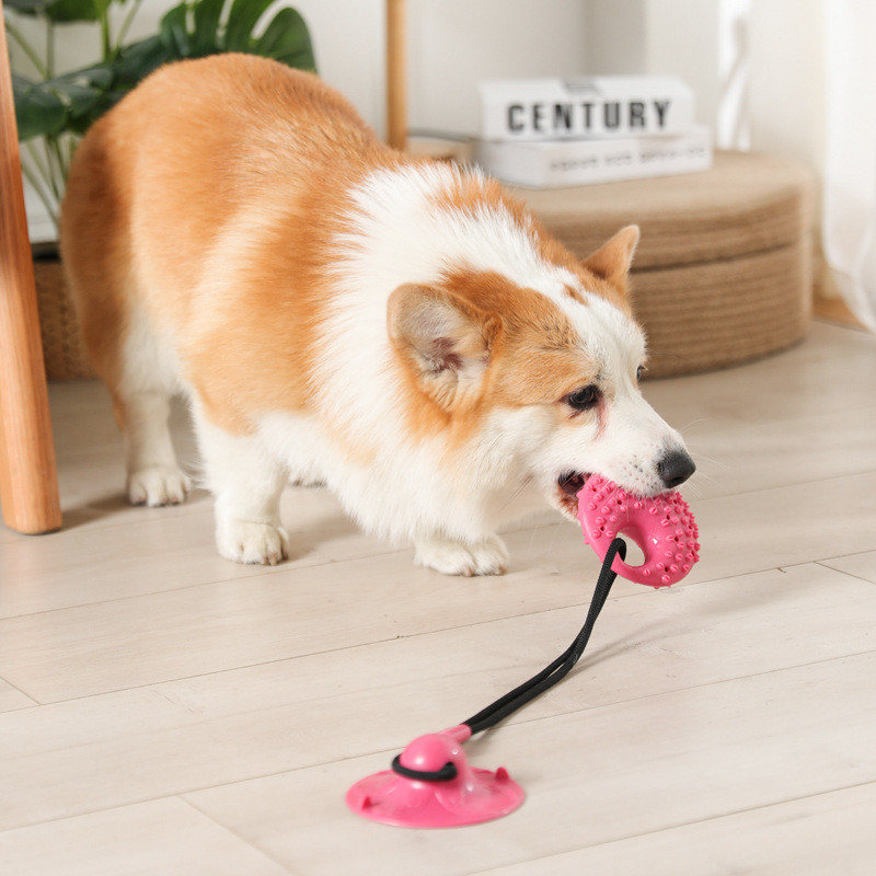 Suction Cup Dog Tug Toy - Giocattoli per cani Ventosa in silicone