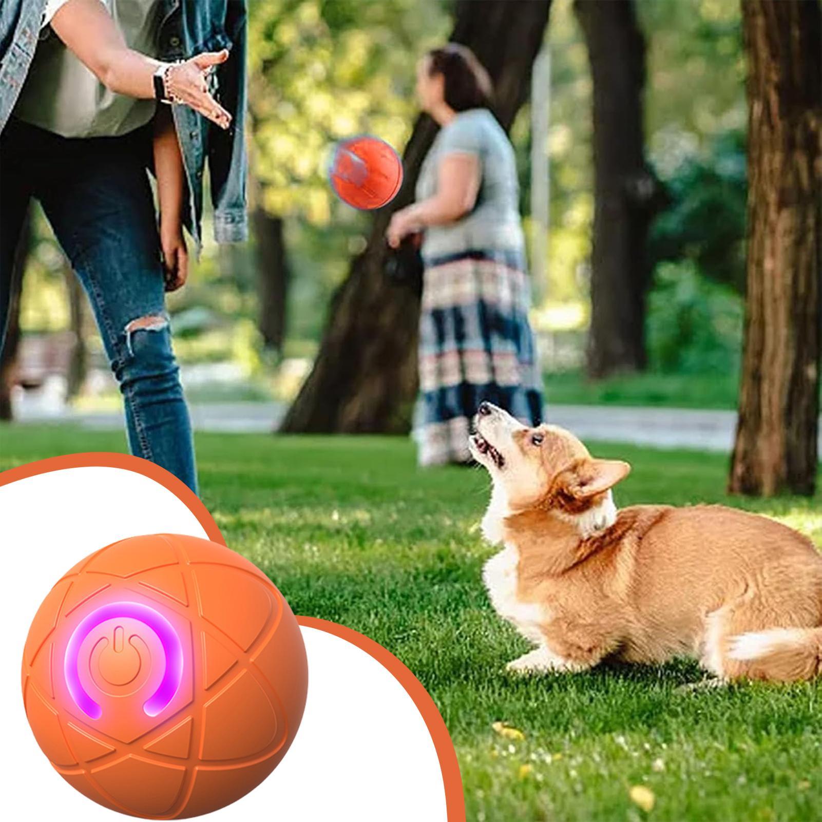 Automatic Moving Dog Ball - Giocattoli interattivi intelligenti per cani per