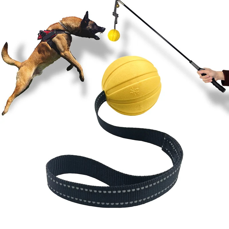 Dog Rope Toy Aggressive Chewers - Palline Giocattolo Durevoli per Cani su