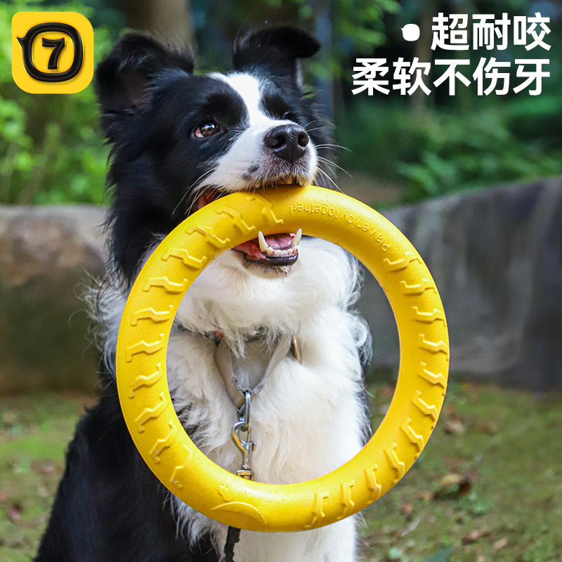 Flying Disc Dog Training Toy - Disco Volante per Cani, Giocattolo da