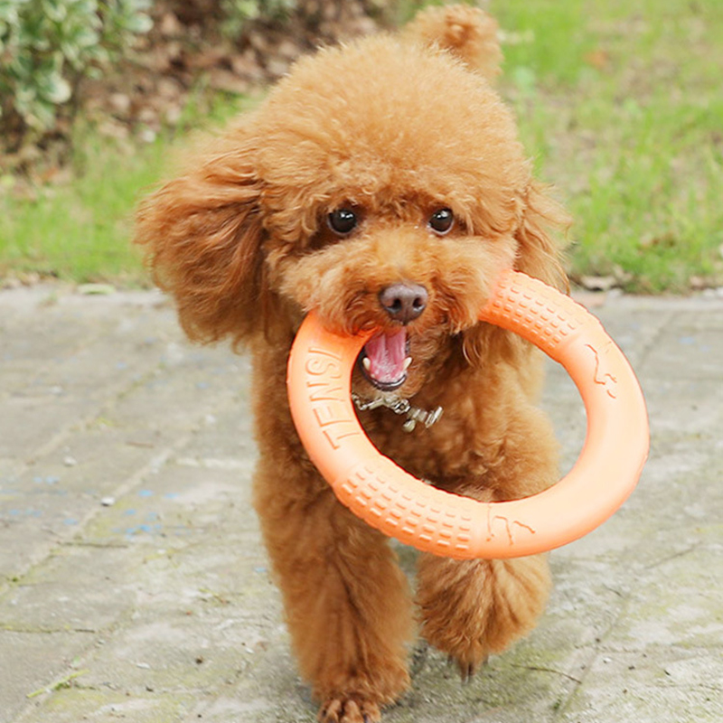 1pc Orange Dog Toys Pet Flying - Suction Cup Dog Tug Toy recensione e prezzo