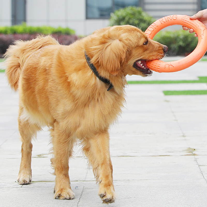 1pc Orange Dog Toys Pet Flying - Suction Cup Dog Tug Toy recensione e prezzo