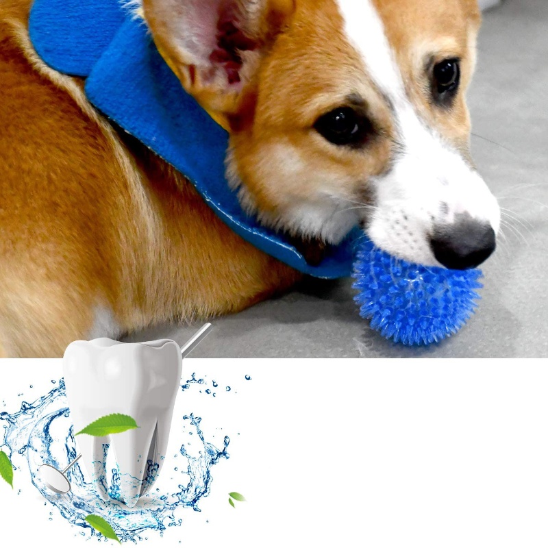 Palla giocattolo per animali d - Interactive Squeaky Plush Dog Toy recensione e prezzo