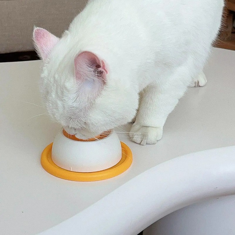 Ciotola Lenta per Alimenti per - Dog Puzzle Feeder Toy recensione e prezzo