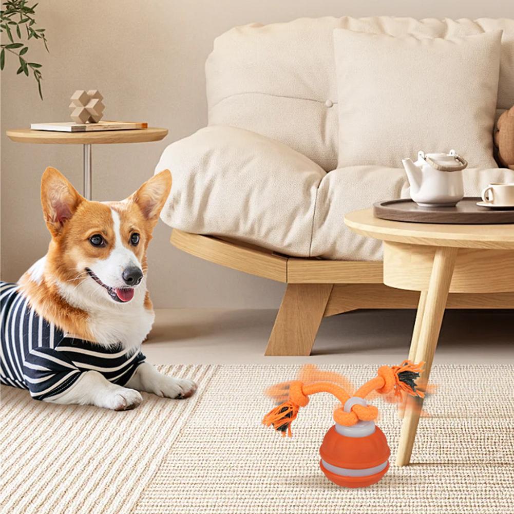 Palla per animali domestici pe - Automatic Moving Dog Ball recensione e prezzo