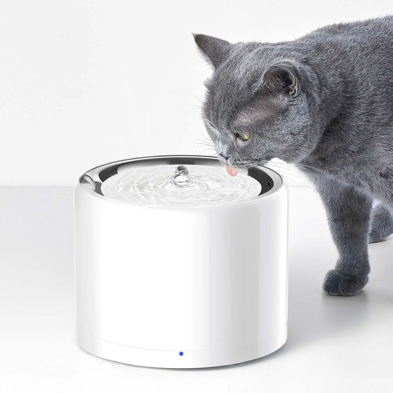 Fontana intelligente per anima - Pet Feeders recensione e prezzo
