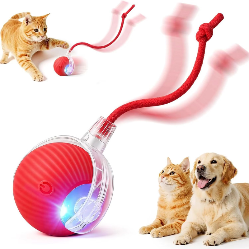 Nuova Palla Interattiva per Ca - Automatic Moving Dog Ball recensione e prezzo