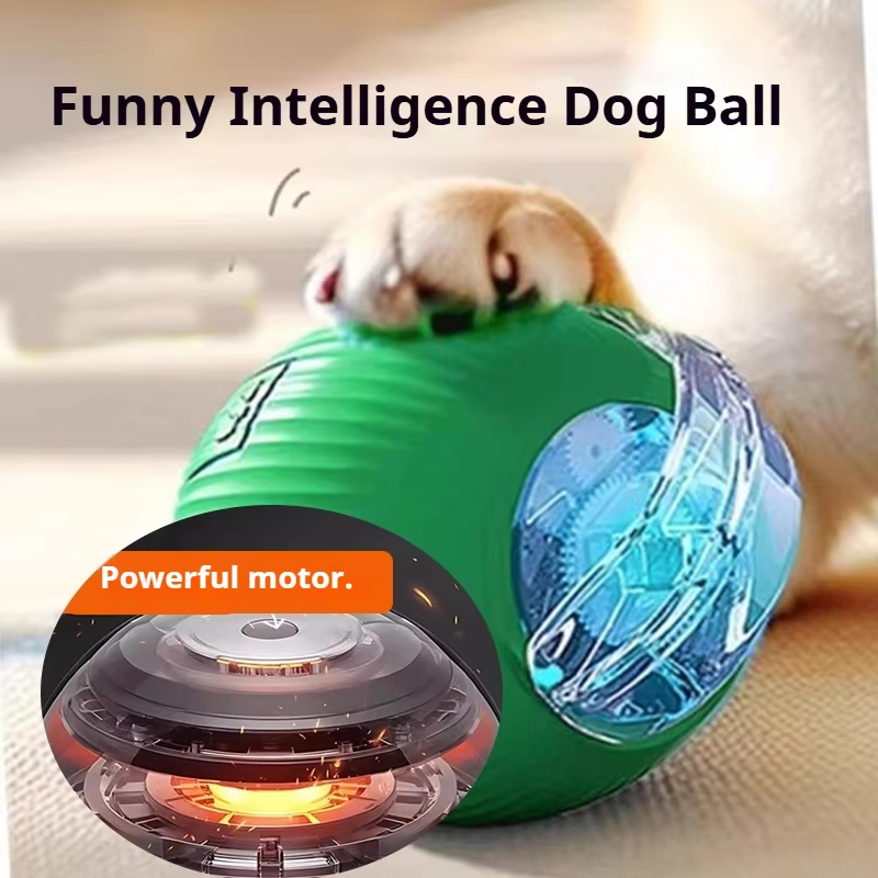 Nuova Palla Interattiva per Ca - Automatic Moving Dog Ball recensione e prezzo