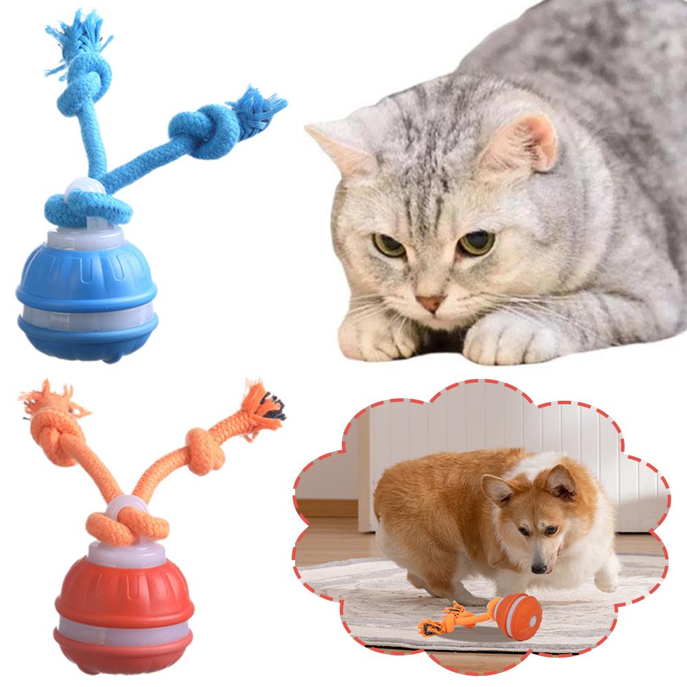 Giocattoli interattivi per can - Automatic Moving Dog Ball recensione e prezzo