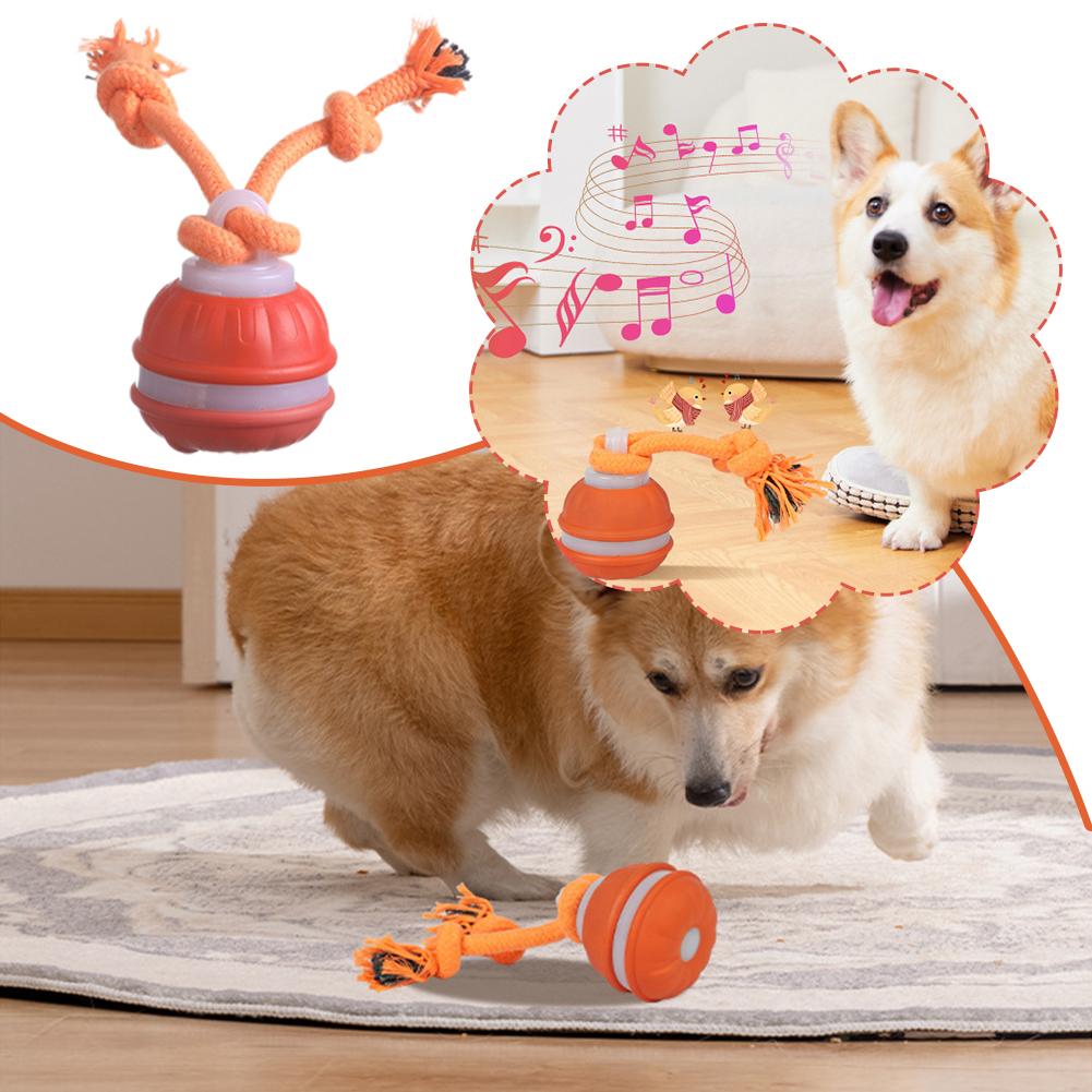Giocattoli interattivi per can - Automatic Moving Dog Ball recensione e prezzo