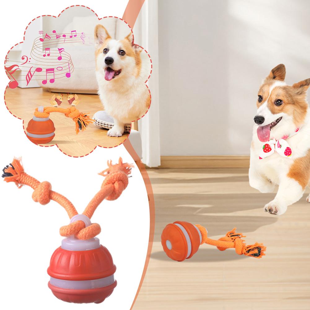 Giocattoli interattivi per can - Automatic Moving Dog Ball recensione e prezzo