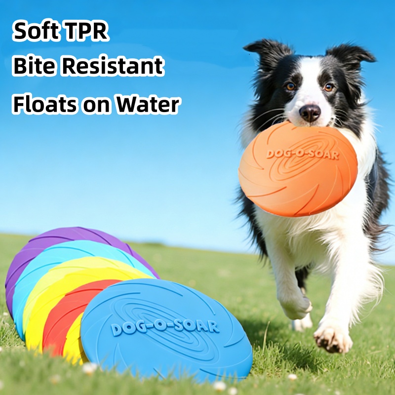 Dischi volanti resistenti ai m - Flying Disc Dog Training Toy recensione e prezzo