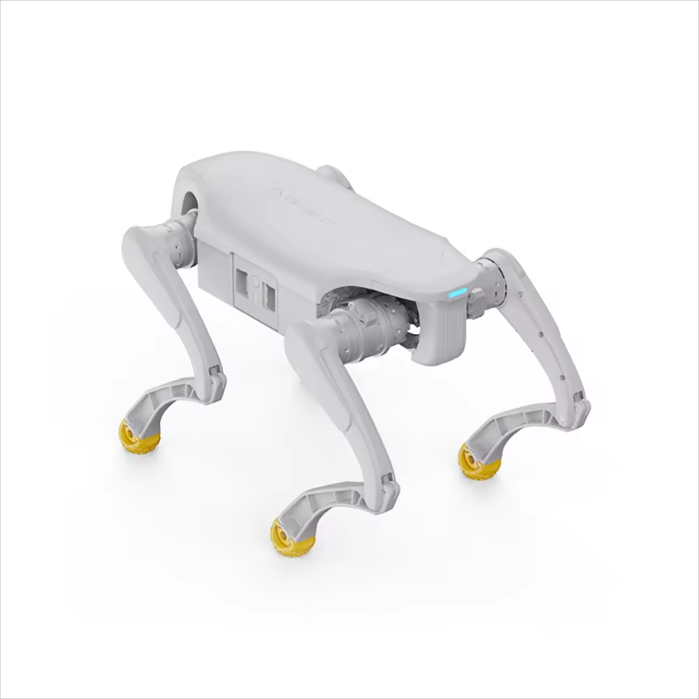 Robot per cani di design Gioca - Dog Toys recensione e prezzo