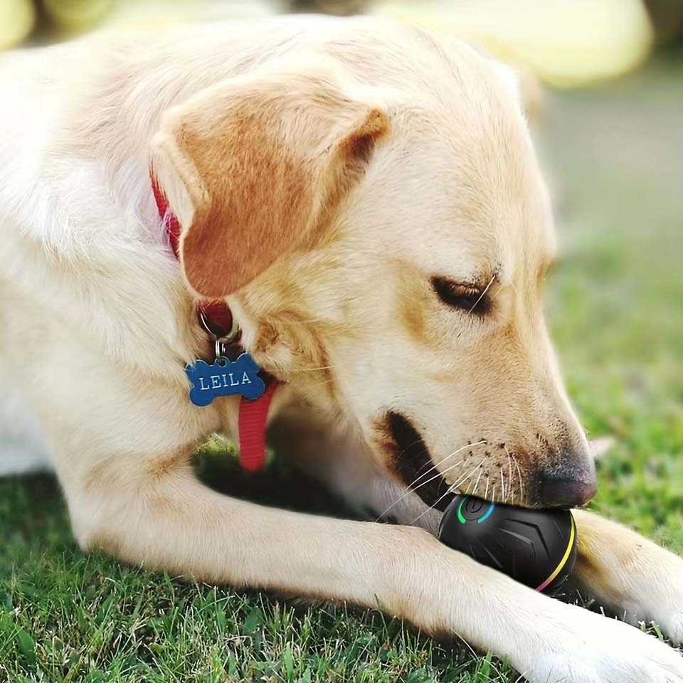 Palline Interattive Intelligen - Automatic Moving Dog Ball recensione e prezzo