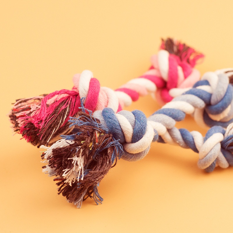 Giocattolo per Cani, Corda di  - Interactive Squeaky Plush Dog Toy recensione e prezzo