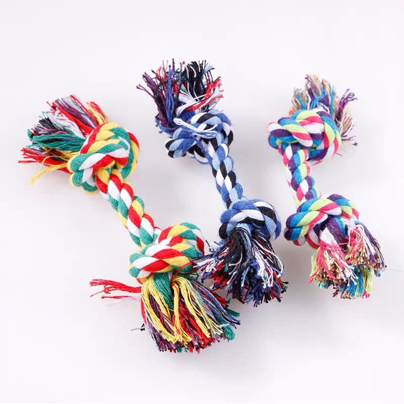 Giocattolo per Cani, Corda di  - Interactive Squeaky Plush Dog Toy recensione e prezzo