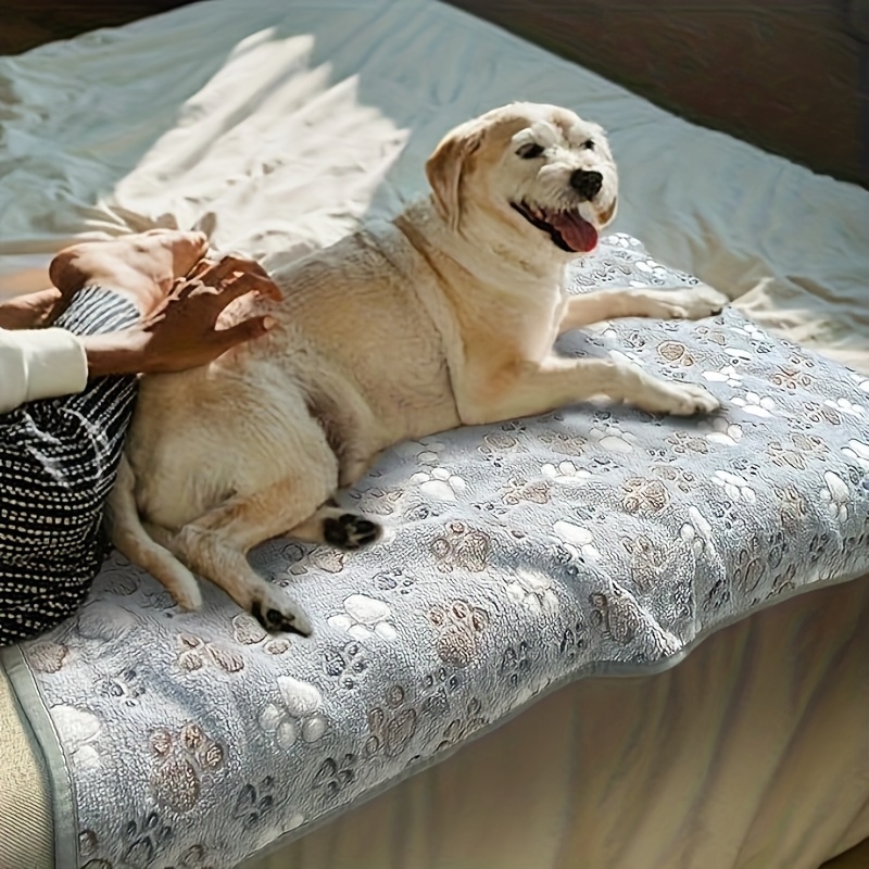 Comodo Asciugamano per Animali - Pet Beds recensione e prezzo