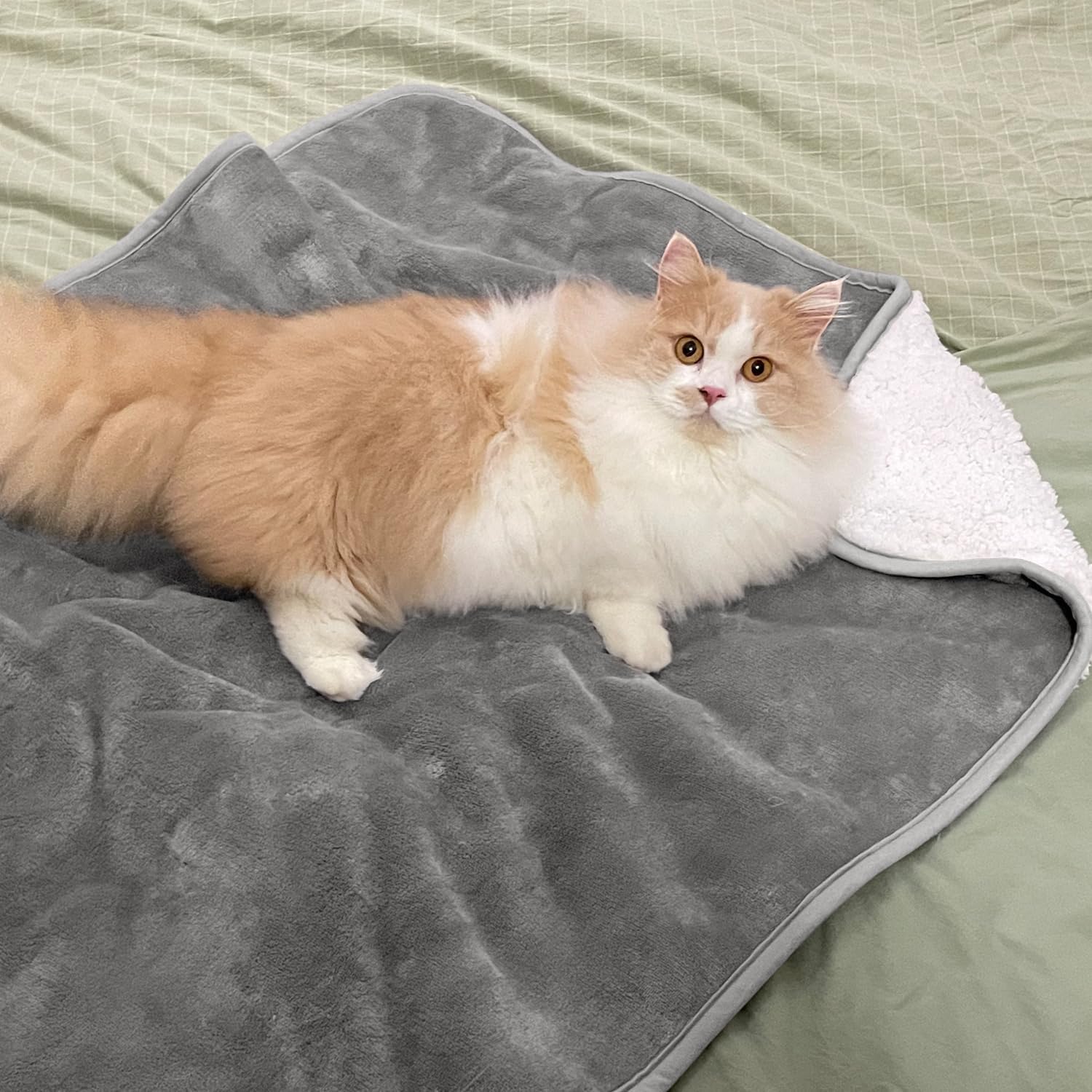 Coperta per Animali Domestici  - Pet Beds recensione e prezzo