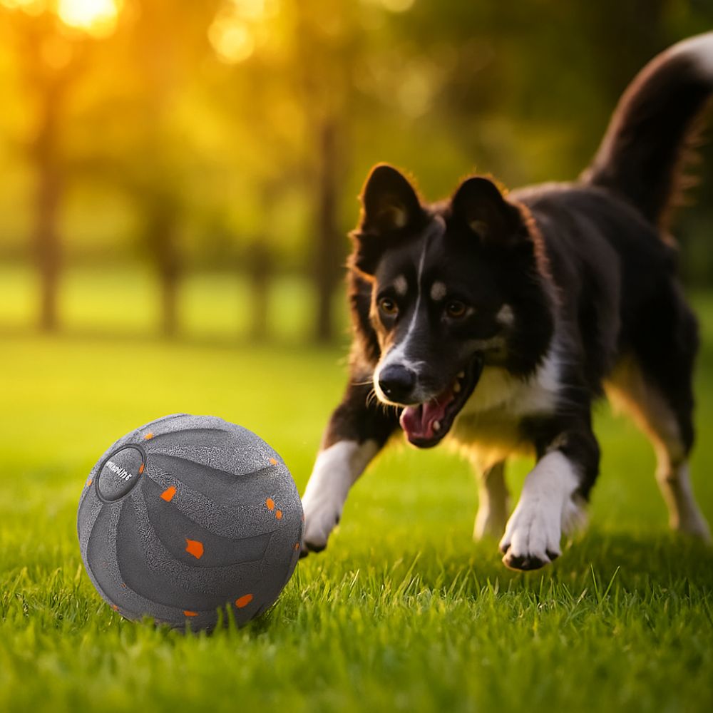 Palla giocattolo per cani inte - Automatic Moving Dog Ball recensione e prezzo