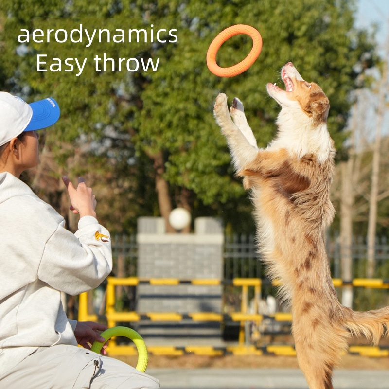 Disco Volante per Cani in EVA  - Flying Disc Dog Training Toy recensione e prezzo