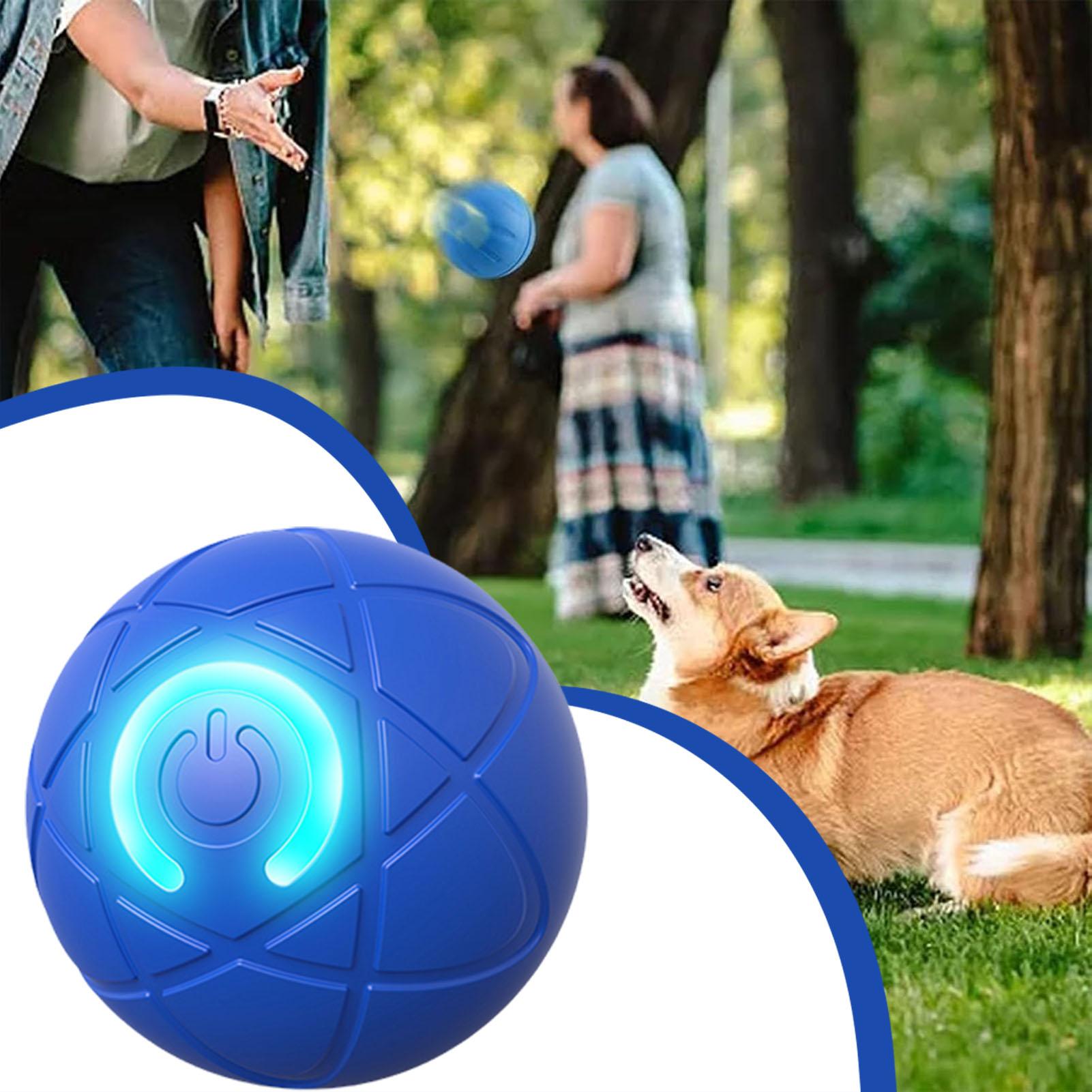Giocattolo Interattivo per Can - Automatic Moving Dog Ball recensione e prezzo