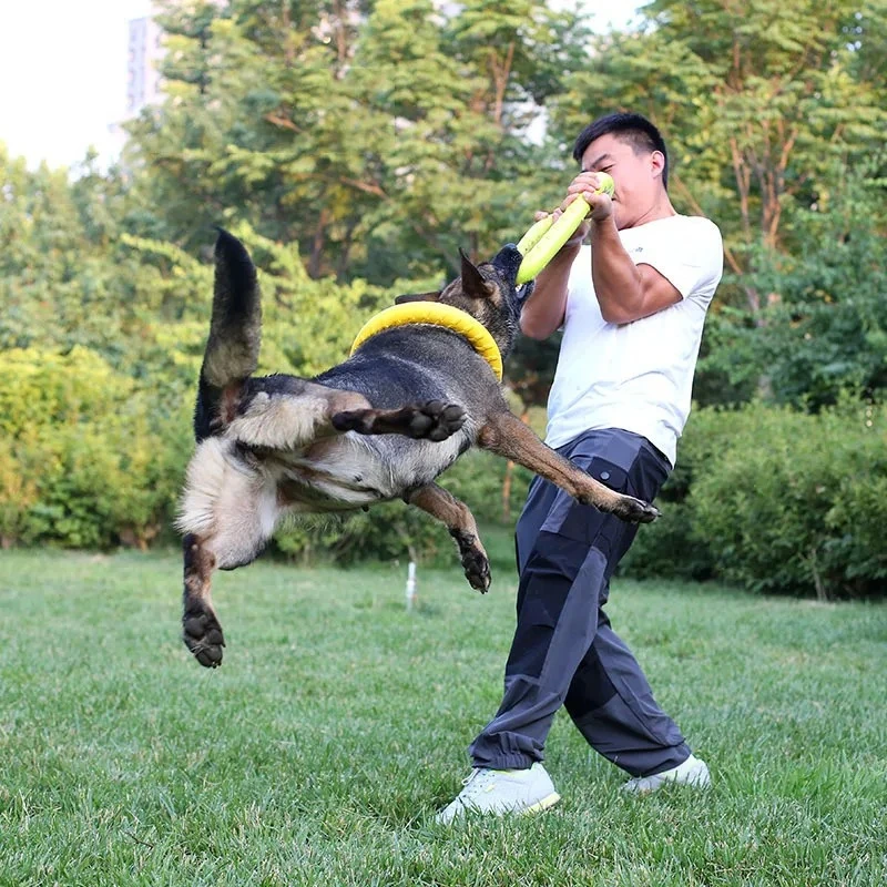 Giocattoli per cani dischi vol - Suction Cup Dog Tug Toy recensione e prezzo