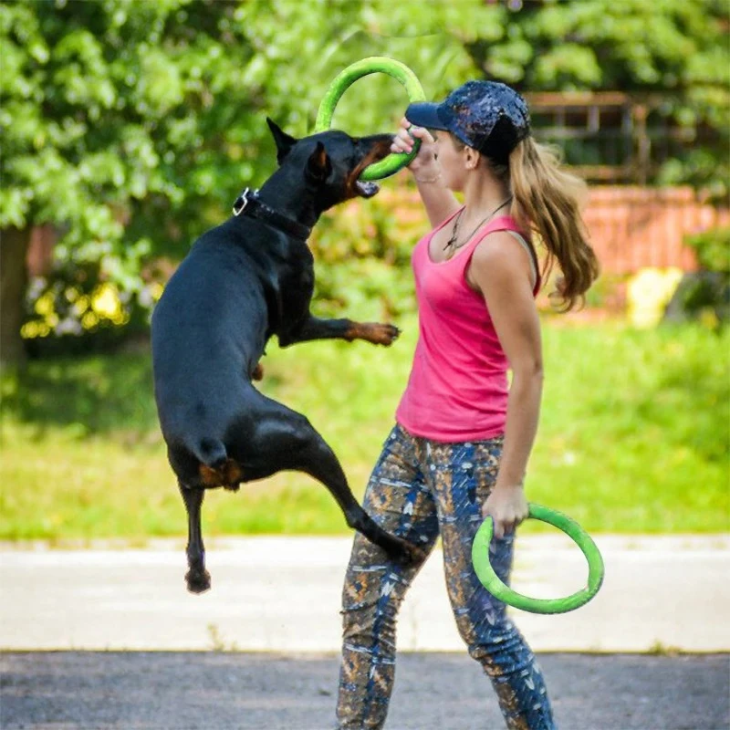 Giocattoli per cani: Frisbee v - Flying Disc Dog Training Toy recensione e prezzo