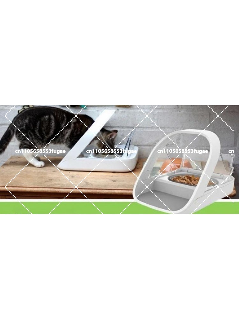 NUOVO Distributore Automatico  - Pet Feeders recensione e prezzo