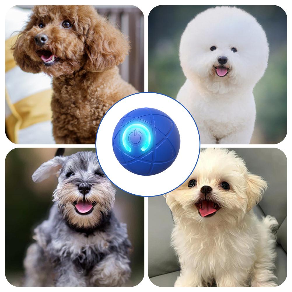 Giocattolo elettronico interat - Automatic Moving Dog Ball recensione e prezzo