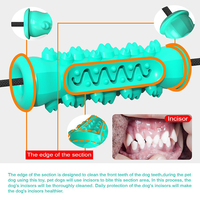 Giocattolo per cani con doppia - Suction Cup Dog Tug Toy recensione e prezzo