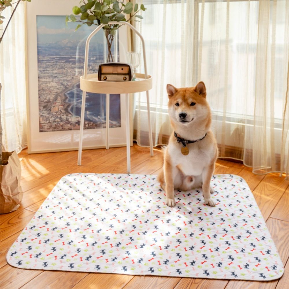Tappetino Super Assorbente per - Pet Beds recensione e prezzo