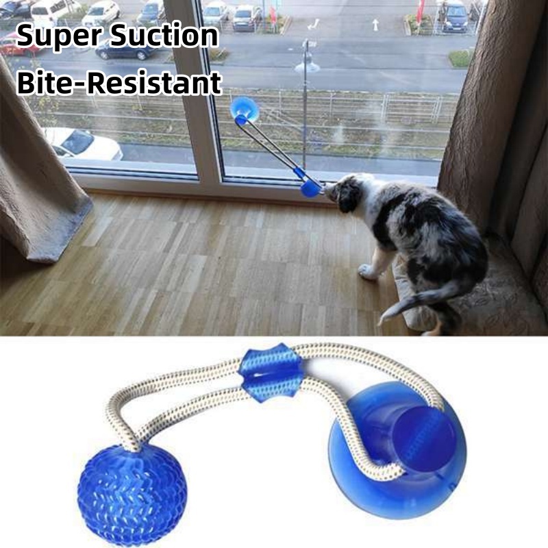 Giocattolo Interattivo per Can - Suction Cup Dog Tug Toy recensione e prezzo