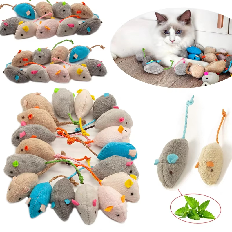 5 Pezzi Giocattoli Interattivi - Catnip Interactive Plush Mouse recensione e prezzo