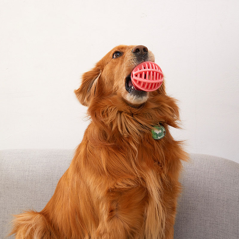 Palla Giocattolo per Cani in G - Rubber Treat Dispensing Dog Toy recensione e prezzo