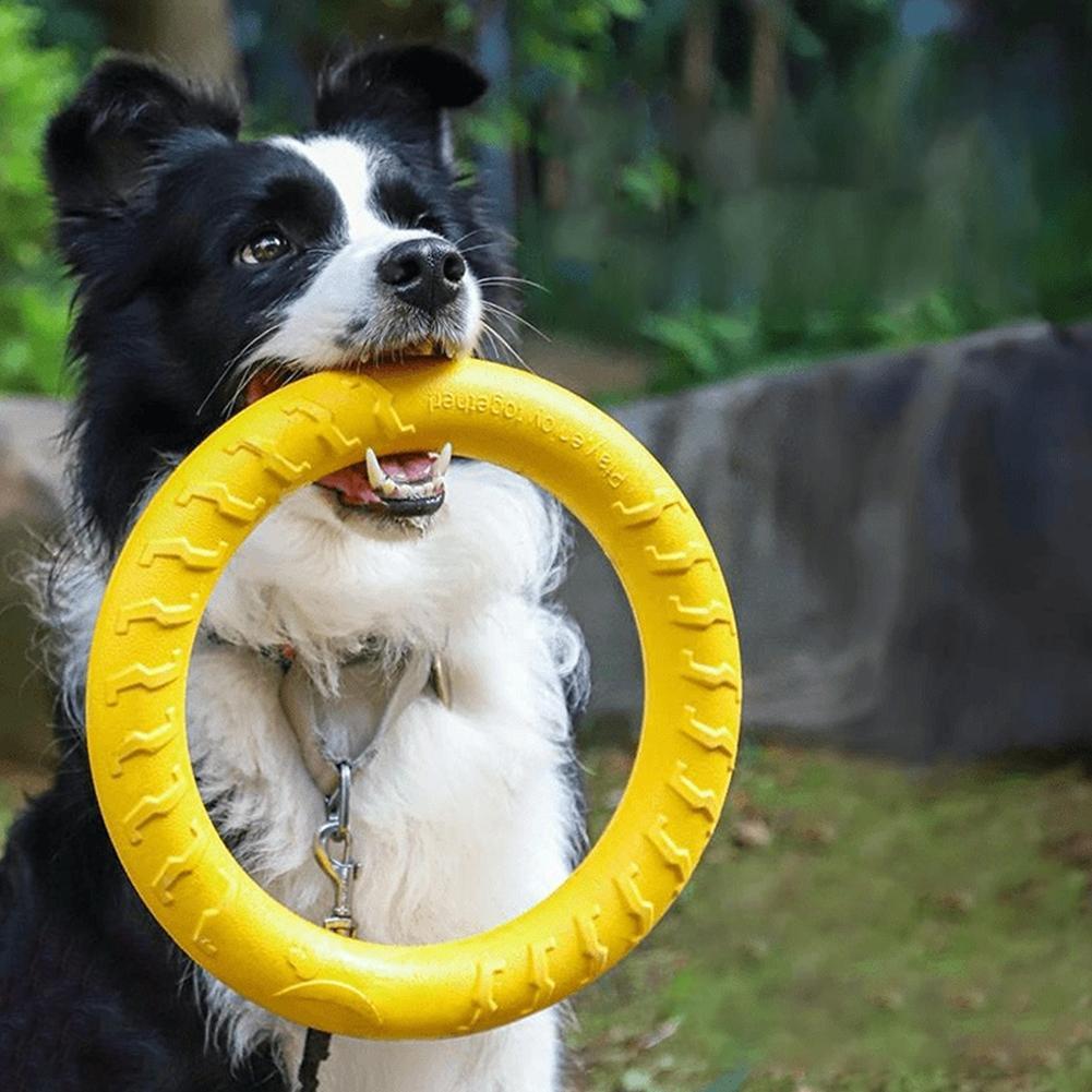 Anelli Giocattolo per Cani Ind - Suction Cup Dog Tug Toy recensione e prezzo