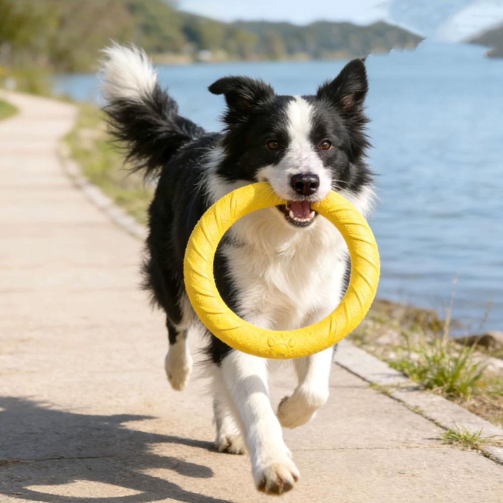 Anelli Giocattolo per Cani Ind - Suction Cup Dog Tug Toy recensione e prezzo