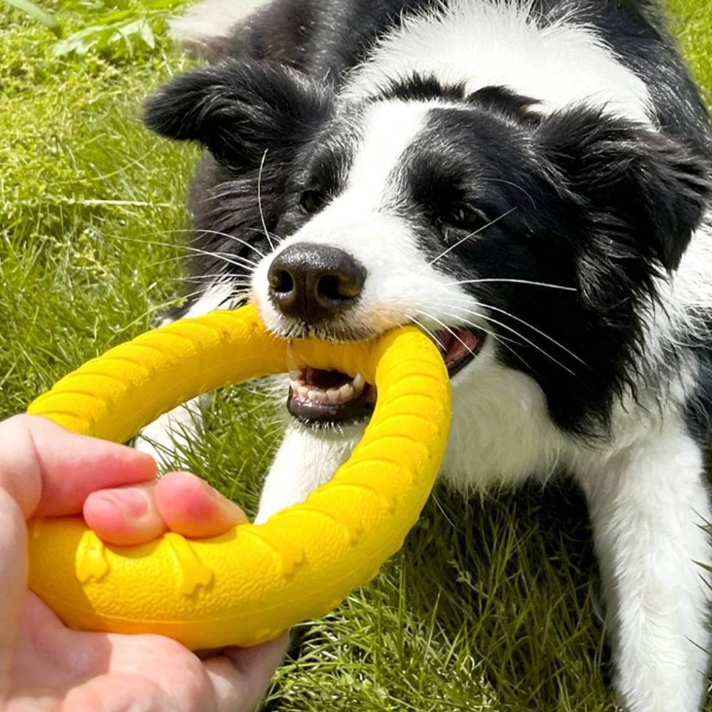 Anelli Giocattolo per Cani Ind - Suction Cup Dog Tug Toy recensione e prezzo
