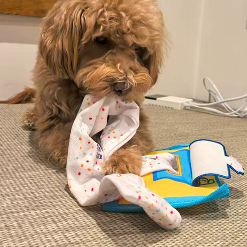 Giocattolo Interattivo per Can - Snuffle Mat For Dogs recensione e prezzo