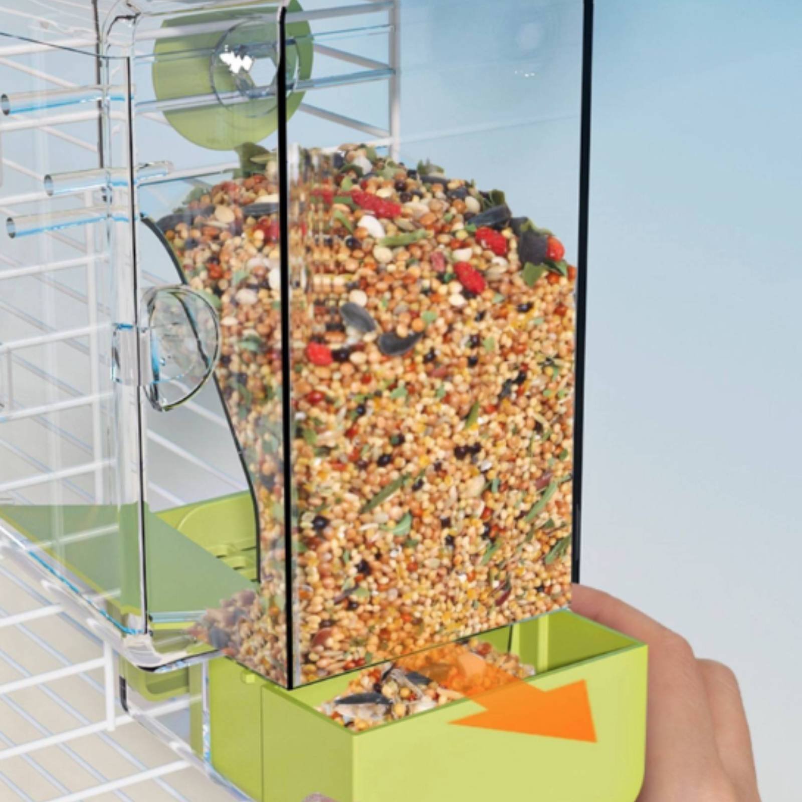 Mangiatoia per Uccelli con Sep - Pet Feeders recensione e prezzo