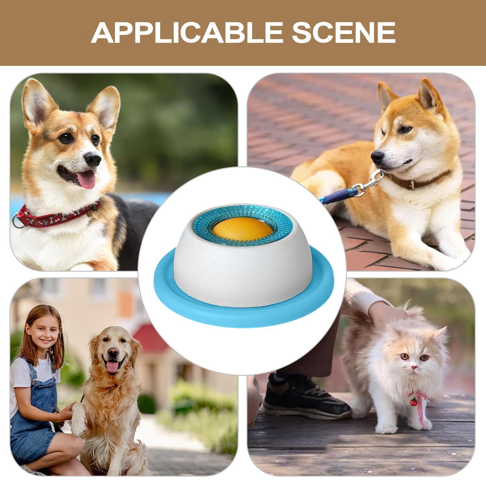 Giocattolo per cani, accessori - Dog Puzzle Feeder Toy recensione e prezzo